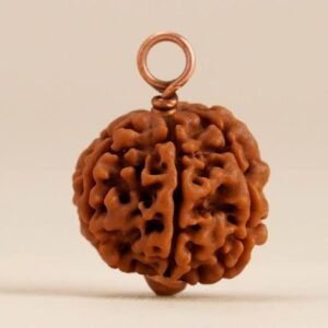 Rudraksha